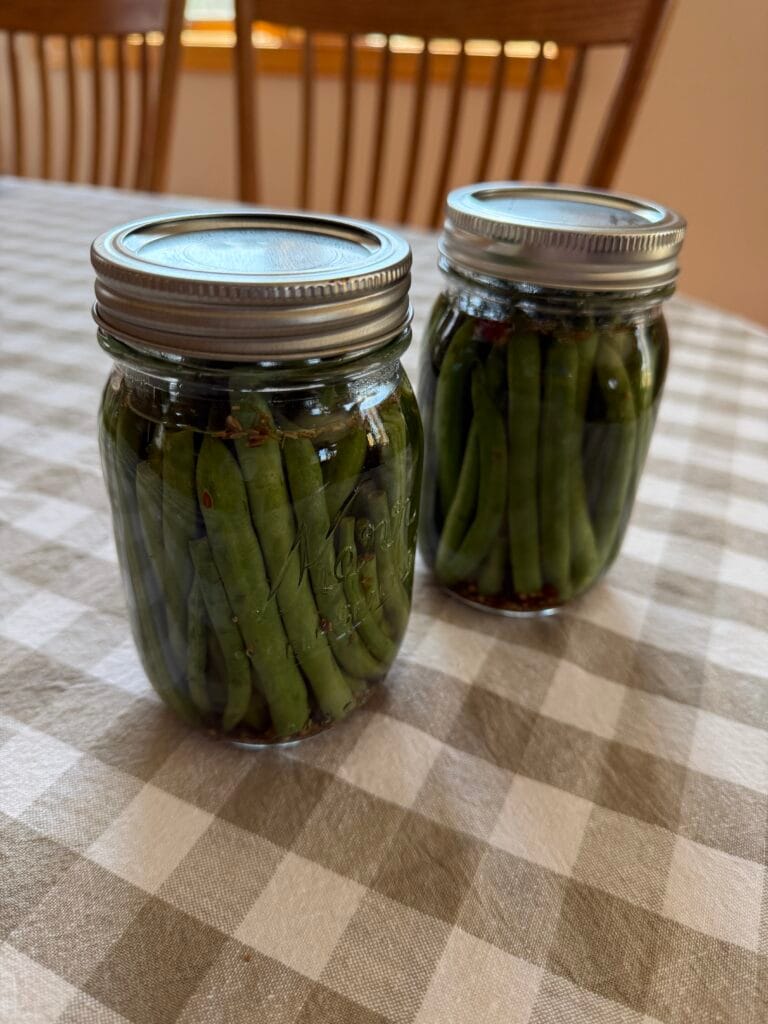 Two jars of pickled green beans